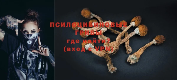 стафф Балахна