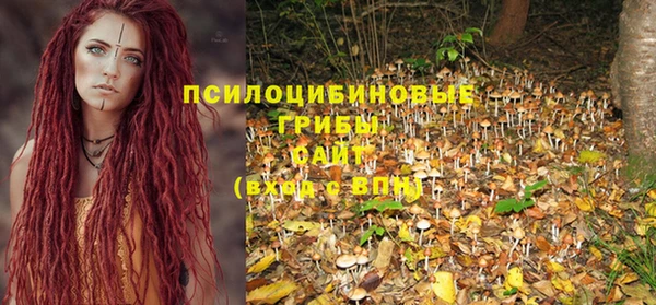 spice Баксан