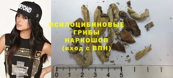 стафф Балахна